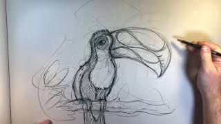 How to draw cartoon animals!