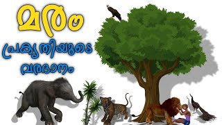 Importance of Trees | For Students | In Malayalam