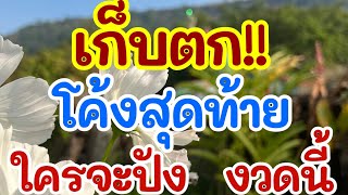 เก็บตก!! โค้งสุดท้าย ใครจะปัง งวดนี้ 1 ธ.ค. 67 [EP.9]