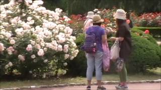 京都府立植物園のバラ