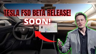The TESLA'S NEXT VERSION Of The Full Self Driving (FSD) Beta Will Be Released In 2 Weeks