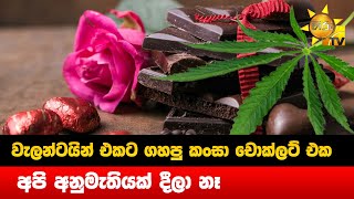 වැලන්ටයින් එකට ගහපු කංසා චොක්ලට් එක - අපි අනුමැතියක් දීලා නෑ - Hiru News