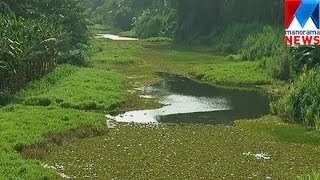 Authority's negligence on  Thumbathodu water source    | Manorama News