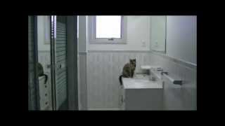 Cheap Bathroom Update - How to Paint Tile Cheap Bathroom Update - How to Paint Tile