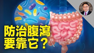 💊 5种腹泻应对措施! 揭示益生菌防治腹泻的正确使用时机!