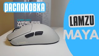 ЛУЧШАЯ мышь для КОГТЯ? Распаковка Lamzu Maya