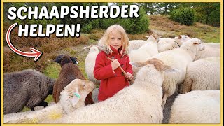 ZELF DE SCHAPEN HOEDEN GAAT NiET ALTiJD GOED … 🐑😂 | Bellinga Vlog #2252