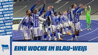 HaHoHe - Eine Woche in Blau-Weiß | 11. Spieltag | Borussia Mönchengladbach vs. Hertha BSC
