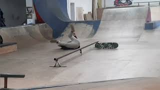 Logan getting violated at boom skatepark