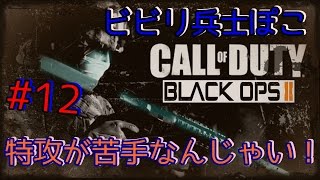 【特攻が苦手なんじゃい！】　BO2：実況　#12 　実況プレイ