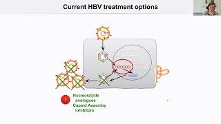 GVN: Forefront of Virology Webinar Featuring Ulrike Protzer