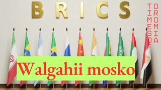 walittii qabama motuummota badhadhani BRICS  moskootti  DHIMMOOTA dinagdee irrattii mariihata