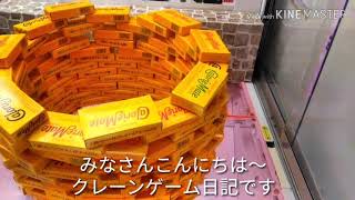 ［クレーンゲーム］カロリーメイトタワーを500円で大量に崩して大量ゲット！