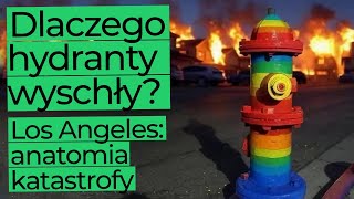 Los Angeles: Anatomia Katastrofy. Dlaczego hydranty wyschły?