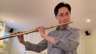 Jet Whistle - Extended Techniques for Flute, Alto Flute and Piccolo