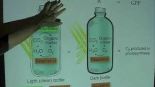 Ocean Productivity - Light-Dark Bottle Method
