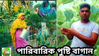 কৃষি পর্ব #পারিবারিক পুষ্টি বাগান#krishi porbo#paribarik pusti bagan#agriculture porbo