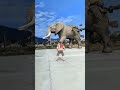 Playing ball to solve the stone elephant in the 🤯3D Special Effects 3D Animation #shorts #vfxhd