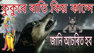 ||ৰাতি কুকুৰে কিয় কান্দে? 𝗪𝗵𝘆 𝗱𝗼𝗲𝘀 𝘁𝗵𝗲 𝗱𝗼𝗴 𝗰𝗿𝘆 𝗮𝘁 𝗻𝗶𝗴𝗵𝘁 ||