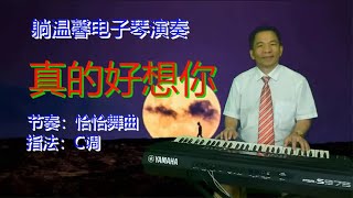 电子琴《真的好想你》追月的彩云哟 也知道我的心