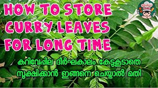 How To Preserve Curry Leaves||കറിവേപ്പില കാലങ്ങളോളം കേടുകൂടാതെ സൂക്ഷിക്കാൻ ഇങ്ങനെ ചെയ്യൂ