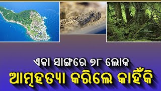 ଏମିତି ଏକ ଦ୍ଵୀପ ଯେଉଁଠି ସାପ ଉଡୁଛି, ଏଠାରେ ଚାଲେ ସାପଙ୍କ ରାଜୁତି  || Knews Odisha || Knews Odisha