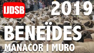 🐑 BENEÏDES de MANACOR i MURO 🐑 Sant ANTONI 2019 - FESTES DE MALLORCA -  TRADICIÓ