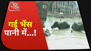 Flood In UP: यूपी के गांव में 10 फीट तक पानी, लोगों की आफत में जिन्दगानी ! Flood Updates | Aaj Tak