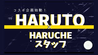 HARUTO×Haruche staff コラボ企画始動