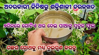 ଅଦରକାରୀ ଜିନିଷରୁ ଶକ୍ତିଶାଳୀ ତରଳଖତ ପ୍ରସ୍ତୁତକରି ଗଛରେ ଦିଅନ୍ତୁ ଗଛର ଗ୍ରୋଥ ଦୁଇଗୁଣ କରନ୍ତୁ ପ୍ରଚୁର ଫୁଲ ପାଆନ୍ତୁ