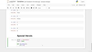 Python programming Special literals part 14