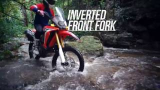 CRF250RALLY  - Find New Horizons