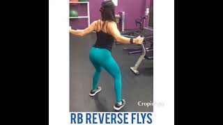HOW TO: RESISTANCE BAND REVERSE FLYS EXERCISE