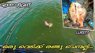 തീറ്റിക്കായി അടികൂടി ചെമ്പല്ലികൾ| Caught two #mangrovejack in one #lure#kerala_fishing #lurefishing