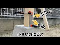 diy_誰でも作れる！簡単すぎる鉄棒の作り方！