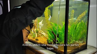 Mantenimiento acuario 240 litros Angeles