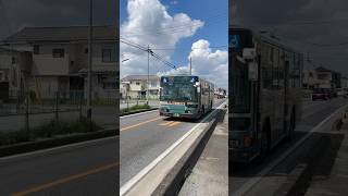 青と夏　西武バス　小手09  所沢ロイヤル病院前経由小手指駅南口行き