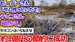 【2ch動物スレ】野生のビーバーさん、７年前から計画していたダムを勝手に作り上げてしまう【なんj】 #生き物 #2ch