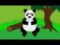 Meet the Panda - Animals at the Zoo - Animal Sounds - Learn the Sounds Zoo Animals Make