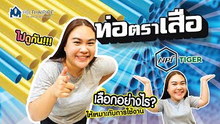 ทำไม ท่อตราเสือ ถึงครองใจผู้รับเหมา ช่างไทย?