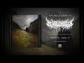 MENTAL CRUELTY - Mortal Shells (Orchestral Version) (VISUALIZER VIDEO)