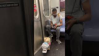 New York Subway moments that make me laugh