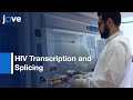 HIV Transcription and Splicing Assessment by Latency Reversing Agents | Protocol Preview