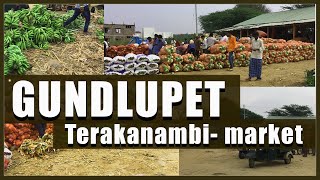 Gundlupet vegetable market |Terakanambi Gundlpet|Terakanambi Market