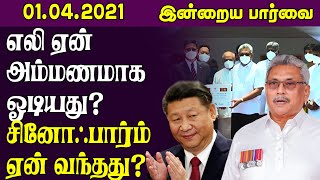 எலி ஏன் அம்மணமாக ஓடியது? சினோஃபார்ம் ஏன் வந்தது?  | Sri Lanka Tamil News