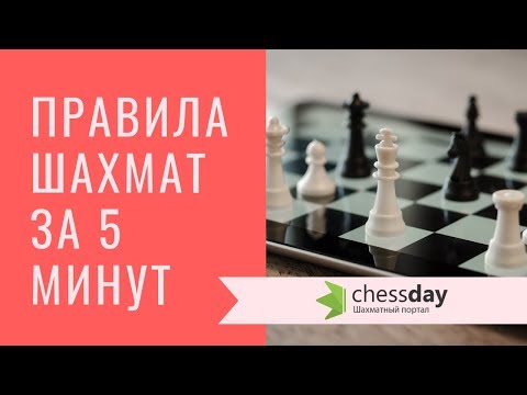 Основные правила шахмат за 5 минут! Видео для начинающих.