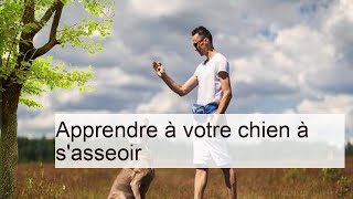 Apprendre à votre chien à s'asseoir | L'éducation du chien | Chiens