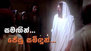 දේව වචනයේ සාක්ෂිකරුවන් වෙමු: Faith Animation Team: Archdiocese of Colombo:18th July 2020