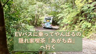 [2K]やんばるの喫茶「あがち森」へ狭い林道をEVバスと徒歩で行くツアー