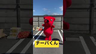 千葉県のマスコットキャラクターチーバくん着ぐるみ costume    Mascot character #shorts